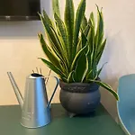 Dom wakacyjny Apartamentai Ornamentai