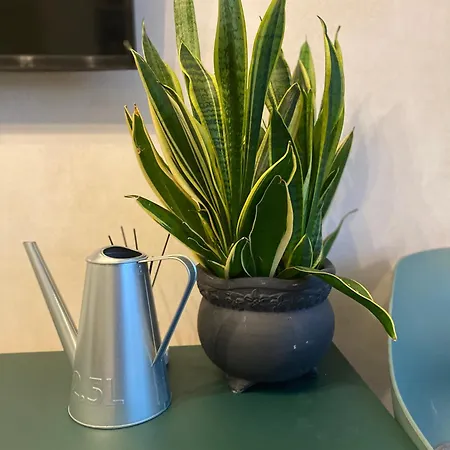 Semesterbostad Apartamentai Ornamentai