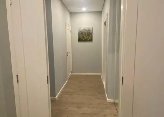 Dom wakacyjny Apartamentai Ornamentai Druskieniki