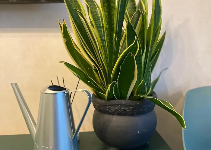 Dom wakacyjny Apartamentai Ornamentai