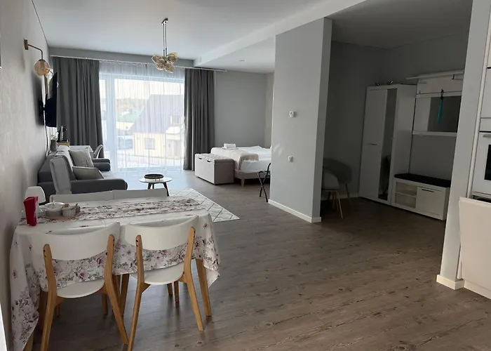 Dom wakacyjny Apartamentai Ornamentai Druskieniki